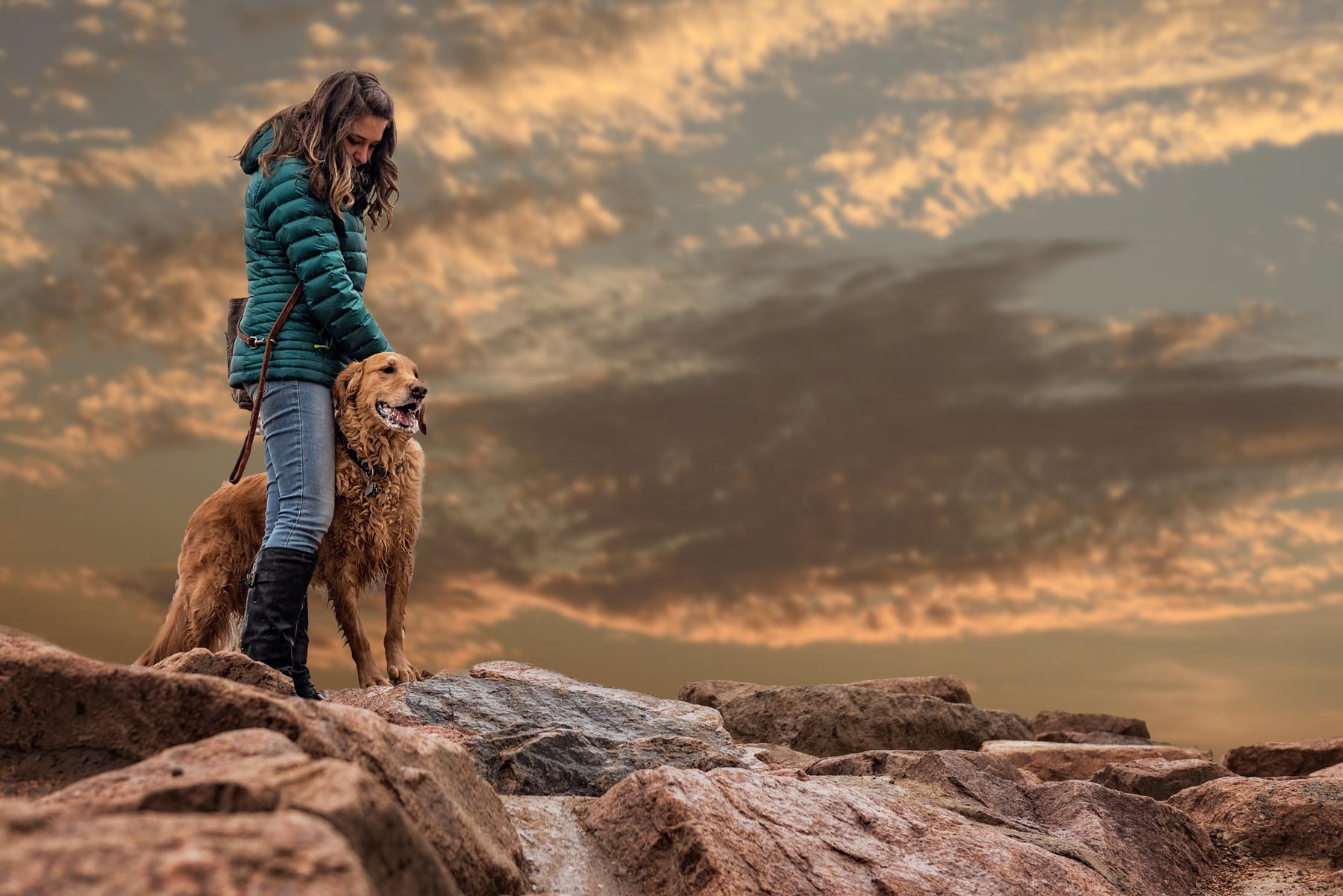 Print(8x10)_2016-04-18-Kellogg-Dog_Scout-027